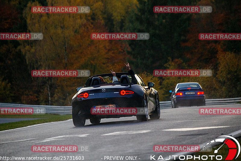 Bild #25731603 - Touristenfahrten Nürburgring Nordschleife (11.11.2023)