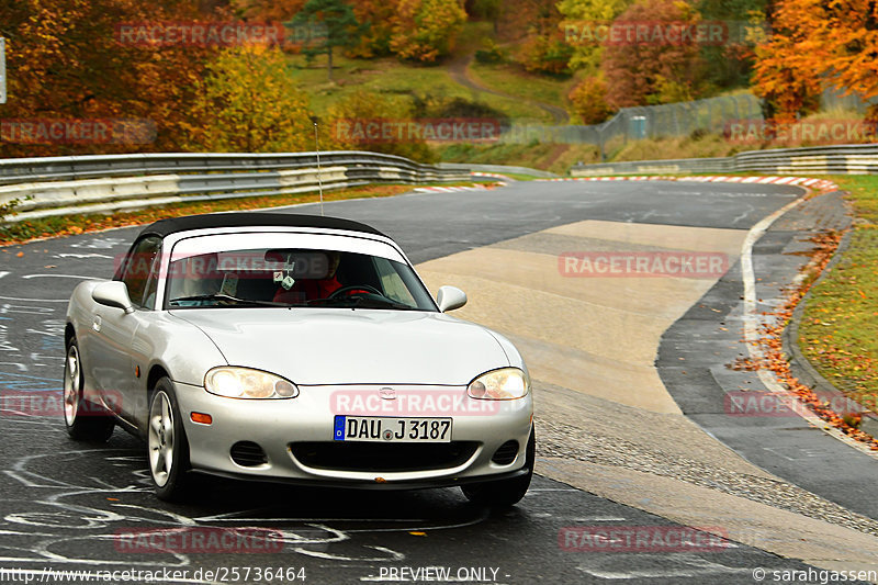 Bild #25736464 - Touristenfahrten Nürburgring Nordschleife (11.11.2023)