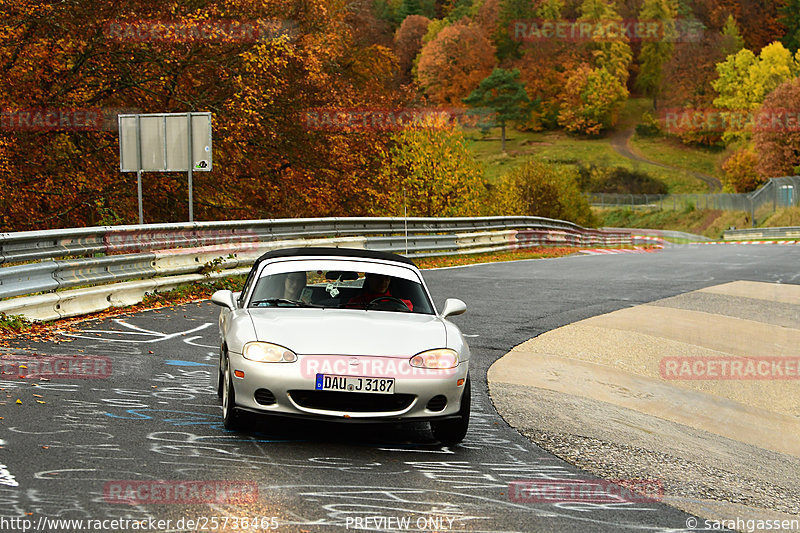 Bild #25736465 - Touristenfahrten Nürburgring Nordschleife (11.11.2023)