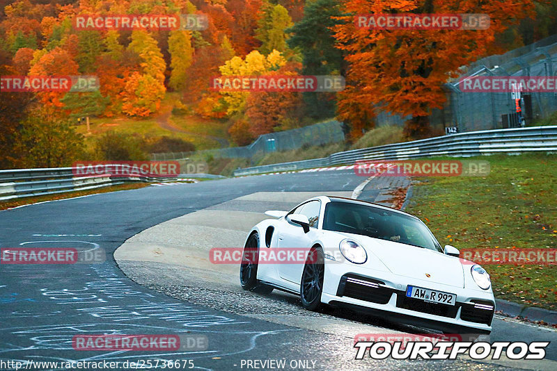 Bild #25736675 - Touristenfahrten Nürburgring Nordschleife (11.11.2023)