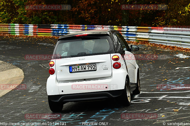 Bild #25736731 - Touristenfahrten Nürburgring Nordschleife (11.11.2023)