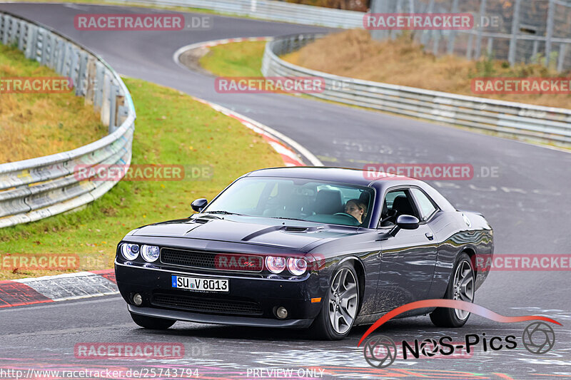 Bild #25743794 - Touristenfahrten Nürburgring Nordschleife (12.11.2023)