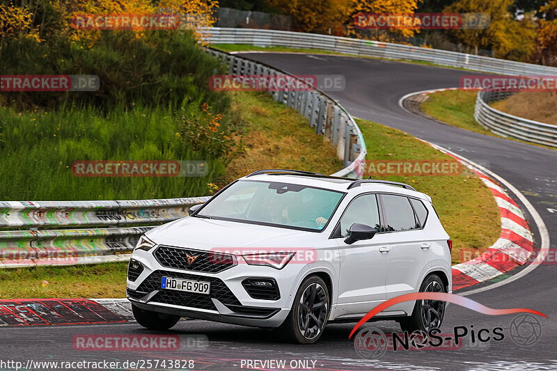 Bild #25743828 - Touristenfahrten Nürburgring Nordschleife (12.11.2023)