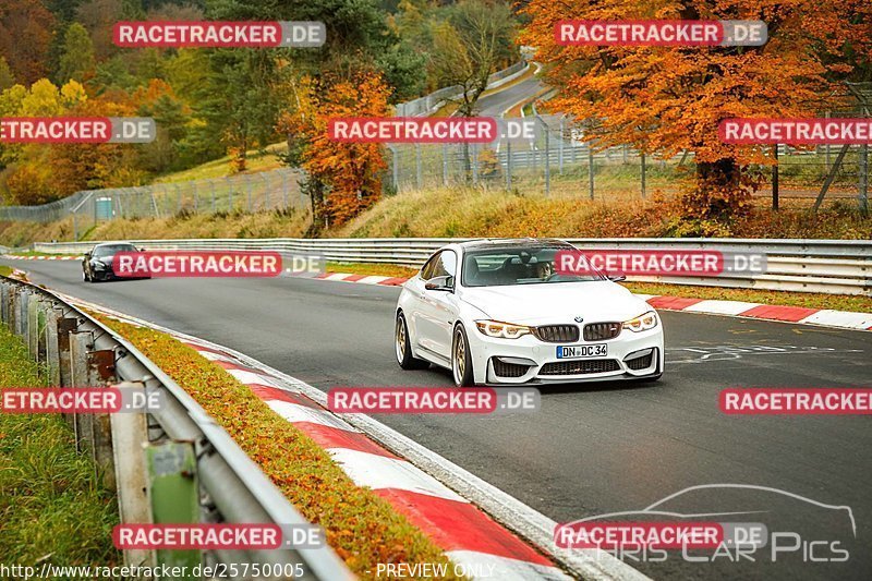 Bild #25750005 - Touristenfahrten Nürburgring Nordschleife (12.11.2023)