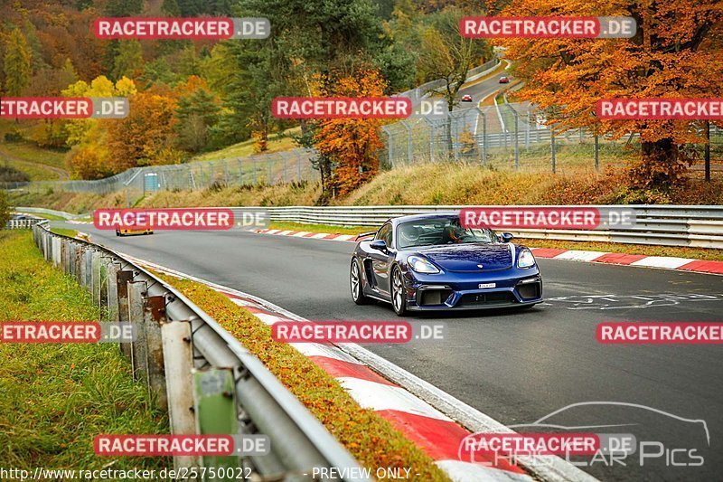 Bild #25750022 - Touristenfahrten Nürburgring Nordschleife (12.11.2023)