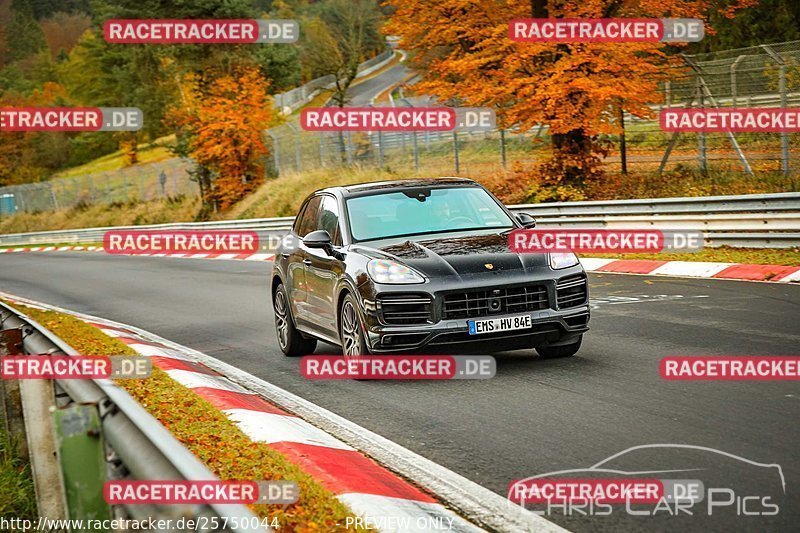 Bild #25750044 - Touristenfahrten Nürburgring Nordschleife (12.11.2023)