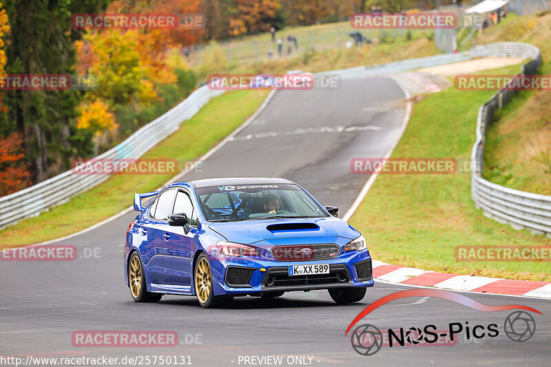 Bild #25750131 - Touristenfahrten Nürburgring Nordschleife (12.11.2023)