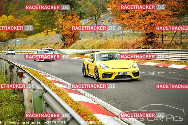 Bild #25750151 - Touristenfahrten Nürburgring Nordschleife (12.11.2023)