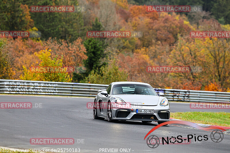 Bild #25750183 - Touristenfahrten Nürburgring Nordschleife (12.11.2023)