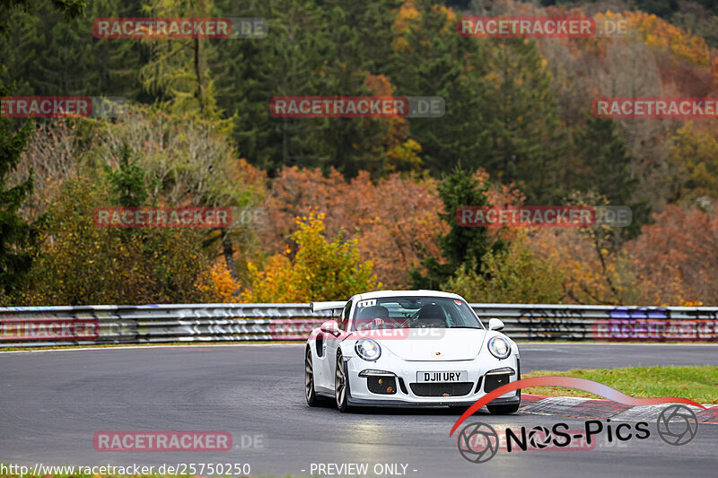 Bild #25750250 - Touristenfahrten Nürburgring Nordschleife (12.11.2023)