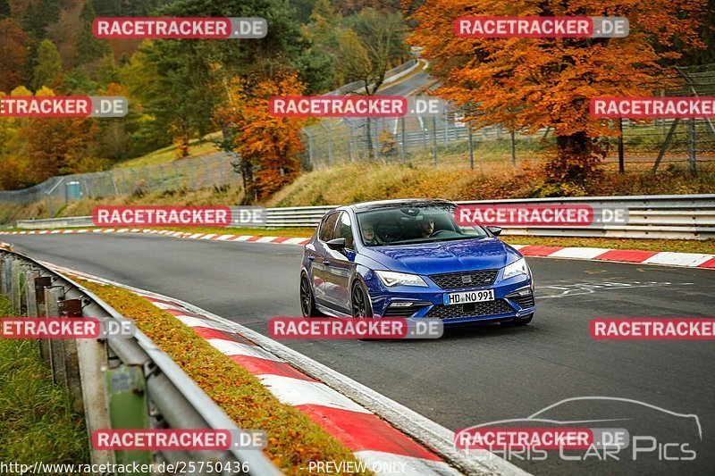 Bild #25750436 - Touristenfahrten Nürburgring Nordschleife (12.11.2023)