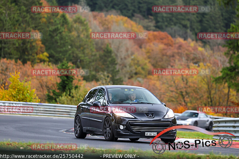 Bild #25750442 - Touristenfahrten Nürburgring Nordschleife (12.11.2023)