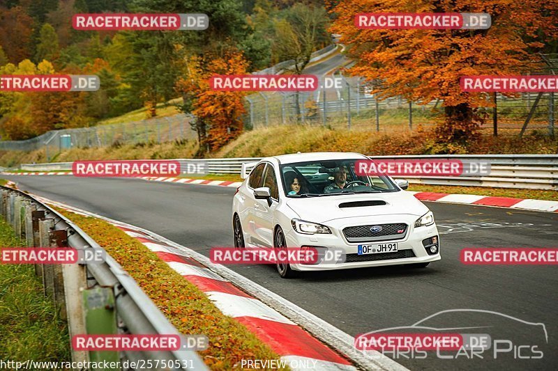 Bild #25750531 - Touristenfahrten Nürburgring Nordschleife (12.11.2023)