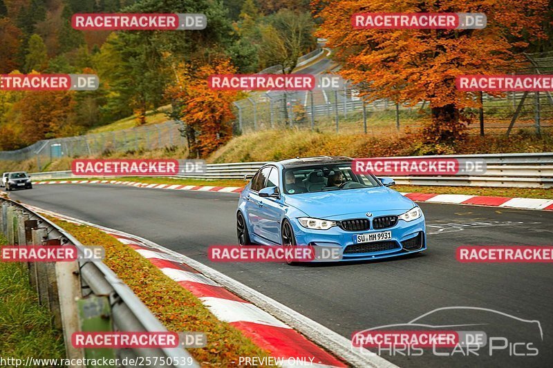 Bild #25750539 - Touristenfahrten Nürburgring Nordschleife (12.11.2023)