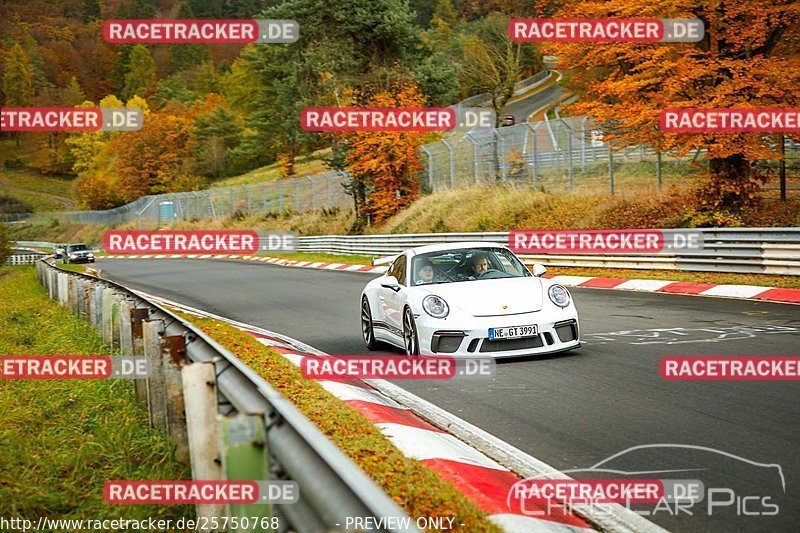 Bild #25750768 - Touristenfahrten Nürburgring Nordschleife (12.11.2023)