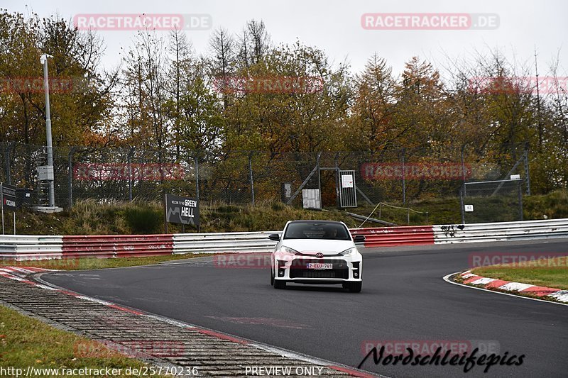 Bild #25770236 - Touristenfahrten Nürburgring Nordschleife (12.11.2023)