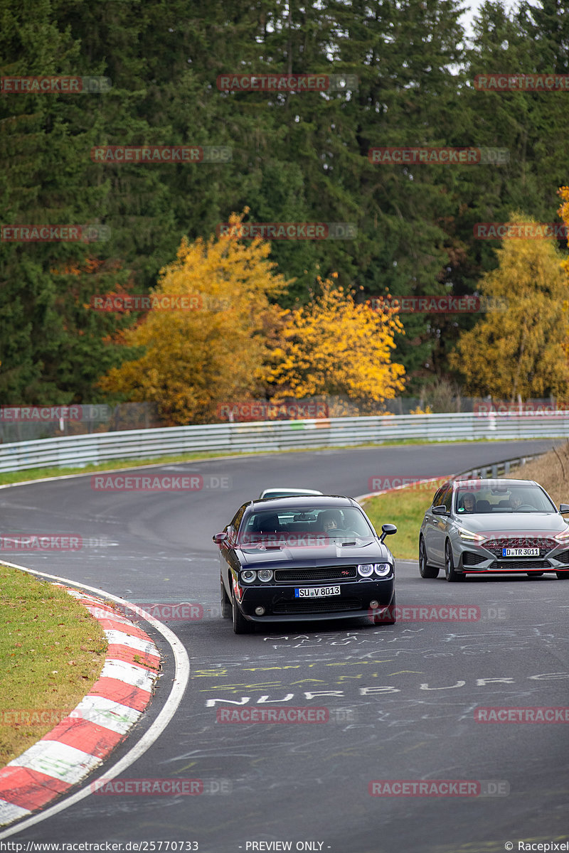 Bild #25770733 - Touristenfahrten Nürburgring Nordschleife (12.11.2023)