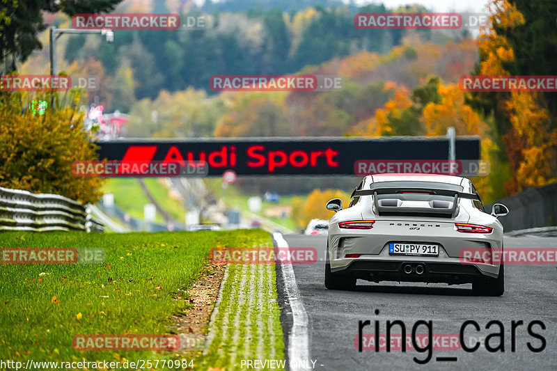 Bild #25770984 - Touristenfahrten Nürburgring Nordschleife (12.11.2023)