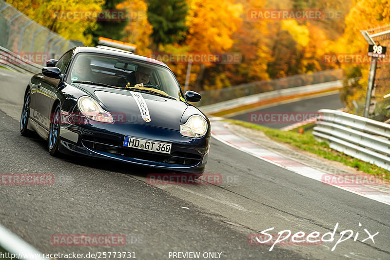 Bild #25773731 - Touristenfahrten Nürburgring Nordschleife (12.11.2023)