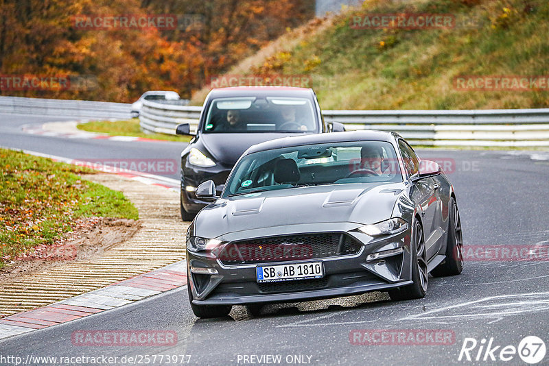 Bild #25773977 - Touristenfahrten Nürburgring Nordschleife (12.11.2023)