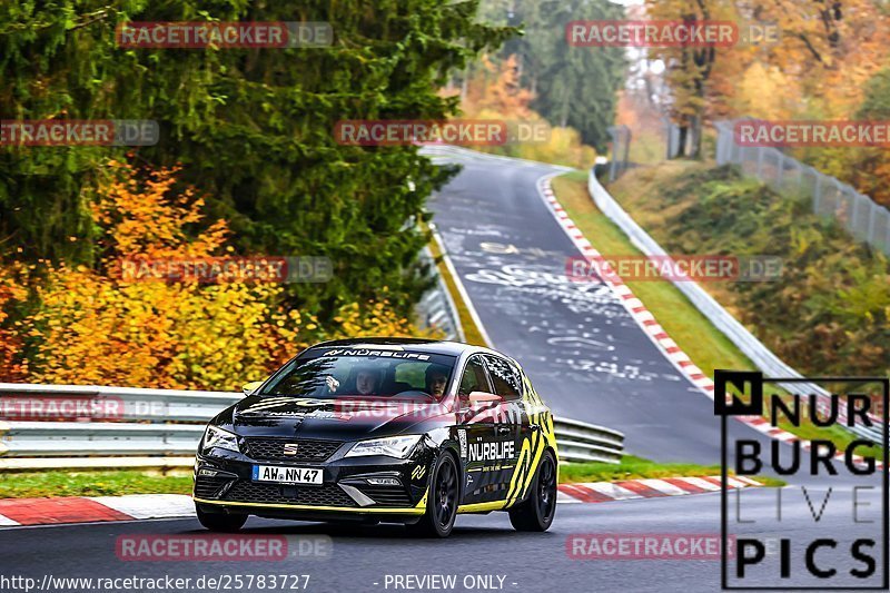 Bild #25783727 - Touristenfahrten Nürburgring Nordschleife (12.11.2023)