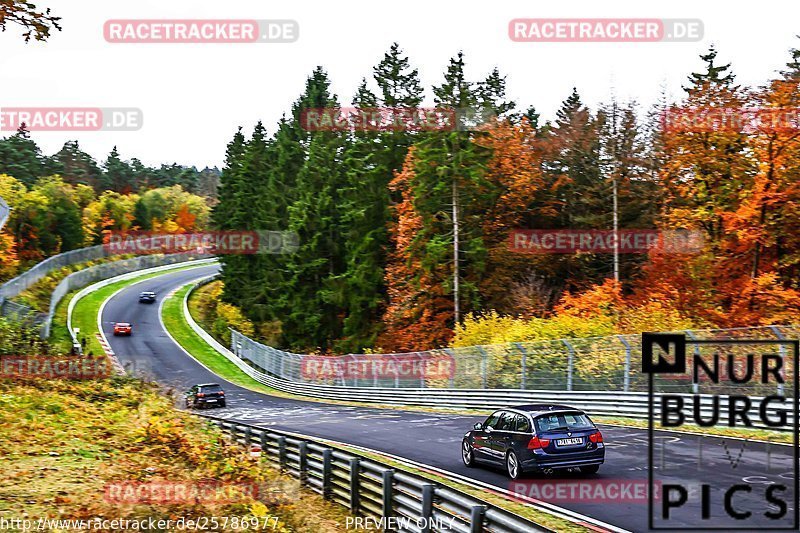 Bild #25786977 - Touristenfahrten Nürburgring Nordschleife (12.11.2023)