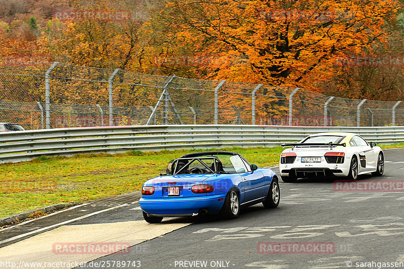 Bild #25789743 - Touristenfahrten Nürburgring Nordschleife (12.11.2023)