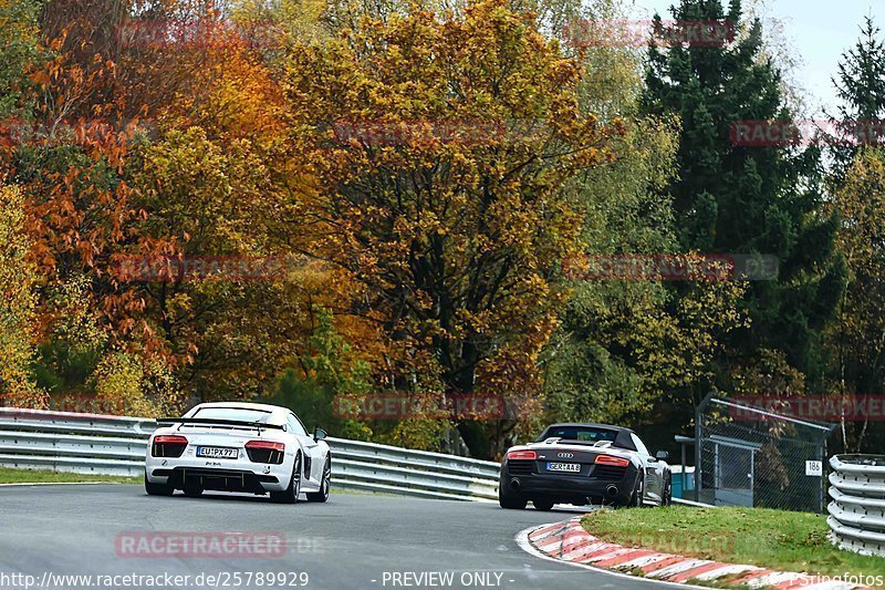 Bild #25789929 - Touristenfahrten Nürburgring Nordschleife (12.11.2023)