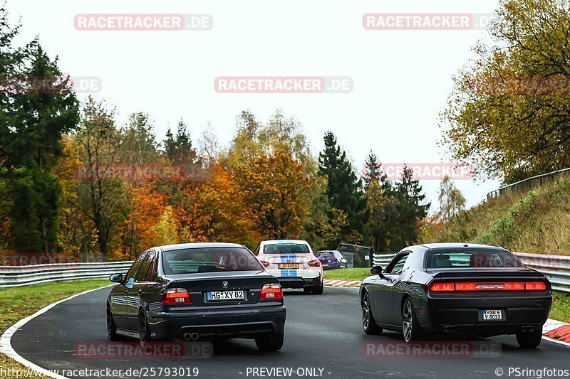 Bild #25793019 - Touristenfahrten Nürburgring Nordschleife (12.11.2023)