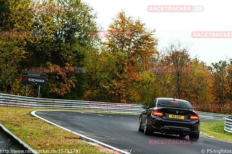 Bild #25793731 - Touristenfahrten Nürburgring Nordschleife (12.11.2023)