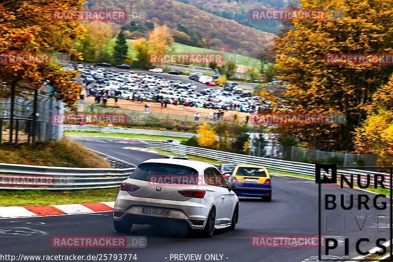 Bild #25793774 - Touristenfahrten Nürburgring Nordschleife (12.11.2023)