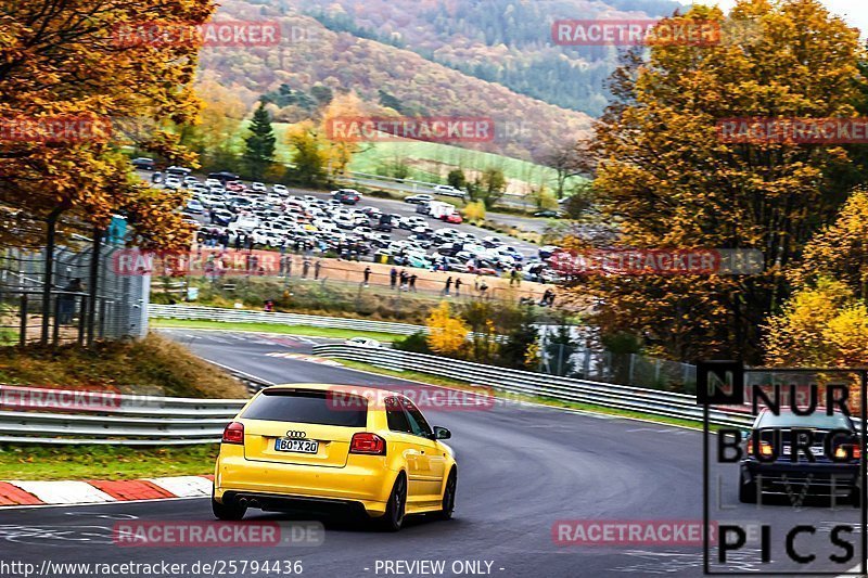 Bild #25794436 - Touristenfahrten Nürburgring Nordschleife (12.11.2023)