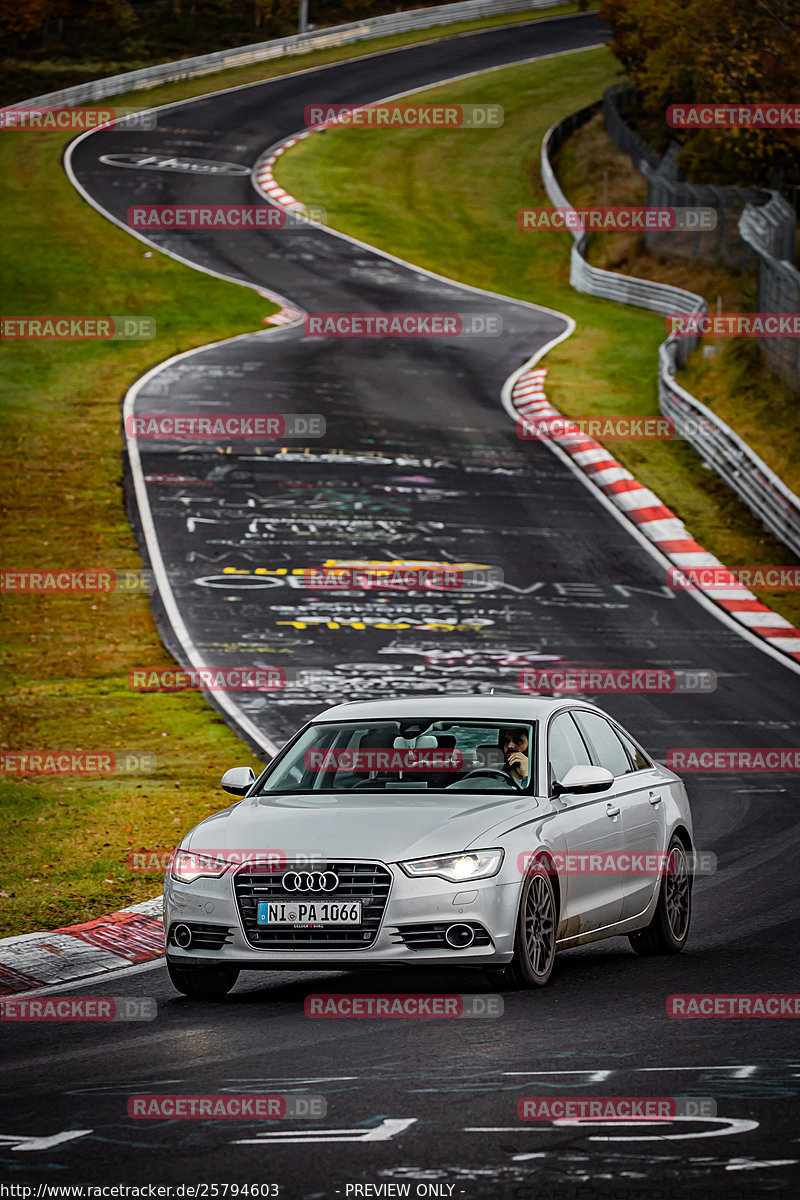 Bild #25794603 - Touristenfahrten Nürburgring Nordschleife (12.11.2023)