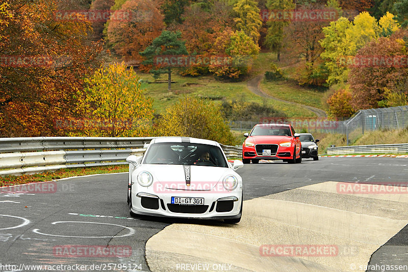 Bild #25795124 - Touristenfahrten Nürburgring Nordschleife (12.11.2023)