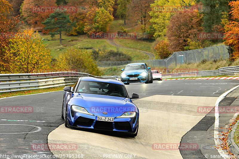 Bild #25795368 - Touristenfahrten Nürburgring Nordschleife (12.11.2023)