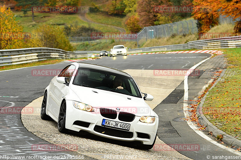 Bild #25795666 - Touristenfahrten Nürburgring Nordschleife (12.11.2023)