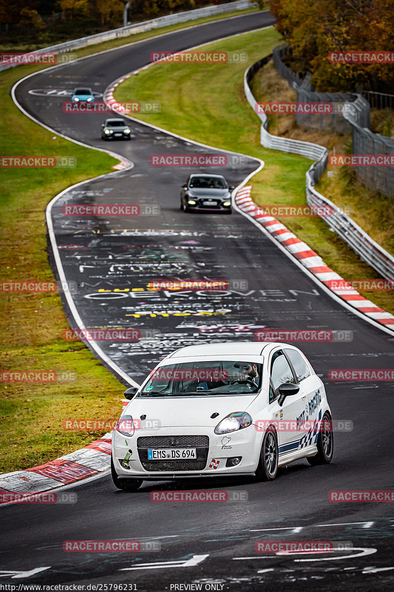 Bild #25796231 - Touristenfahrten Nürburgring Nordschleife (12.11.2023)