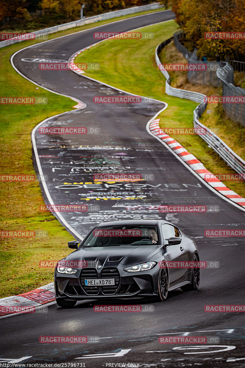 Bild #25796731 - Touristenfahrten Nürburgring Nordschleife (12.11.2023)