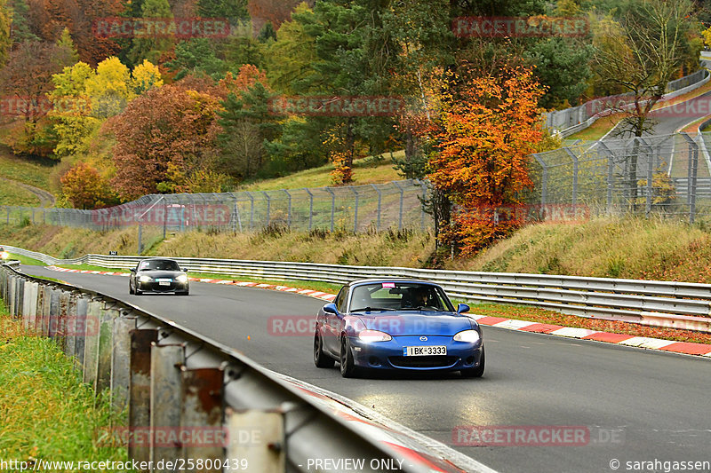 Bild #25800439 - Touristenfahrten Nürburgring Nordschleife (12.11.2023)