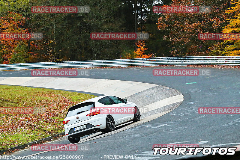 Bild #25808987 - Touristenfahrten Nürburgring Nordschleife (12.11.2023)