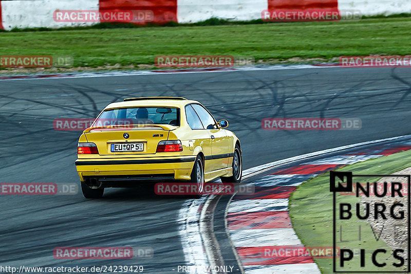 Bild #24239429 - Touristenfahrten Nürburgring GP-Strecke (29.08.2023)