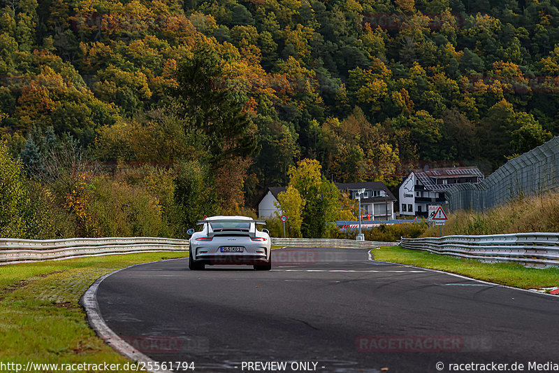 Bild #25561794 - Manthey-Racing Nordschleifen Trackday (23.10.2023)
