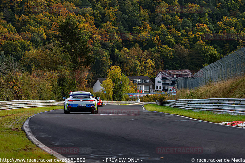 Bild #25561802 - Manthey-Racing Nordschleifen Trackday (23.10.2023)