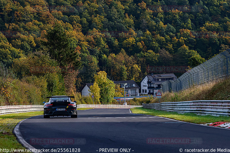 Bild #25561828 - Manthey-Racing Nordschleifen Trackday (23.10.2023)