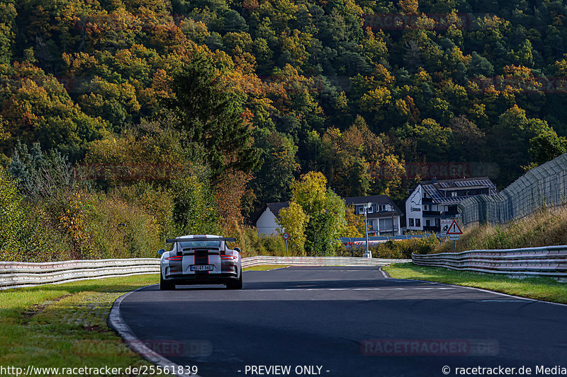 Bild #25561839 - Manthey-Racing Nordschleifen Trackday (23.10.2023)