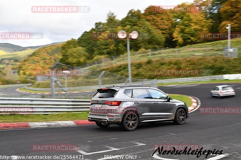 Bild #25564471 - Touristenfahrten Nürburgring Nordschleife (27.10.2023)