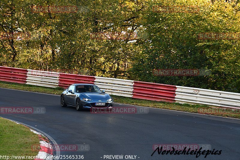 Bild #25565336 - Touristenfahrten Nürburgring Nordschleife (27.10.2023)