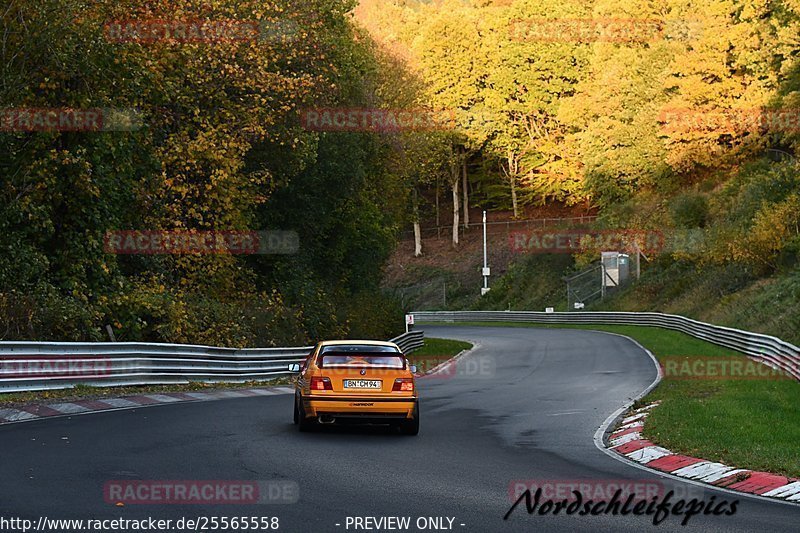 Bild #25565558 - Touristenfahrten Nürburgring Nordschleife (27.10.2023)