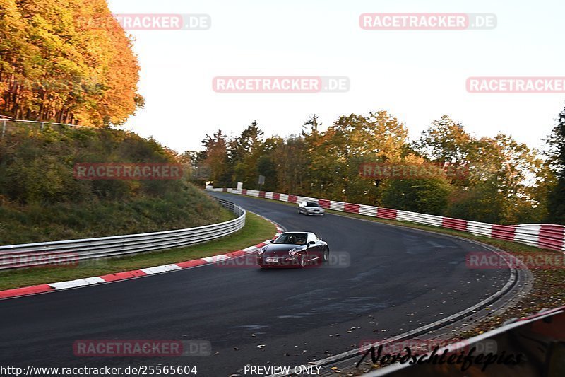 Bild #25565604 - Touristenfahrten Nürburgring Nordschleife (27.10.2023)