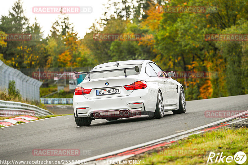 Bild #25567600 - Touristenfahrten Nürburgring Nordschleife (27.10.2023)